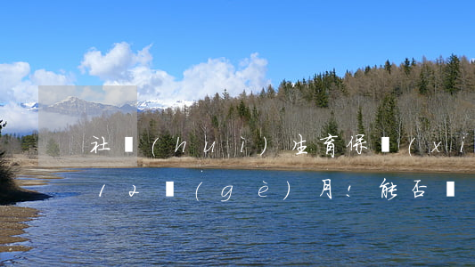 社會(huì)生育保險(xiǎn)不足12個(gè)月!能否報(bào)銷？